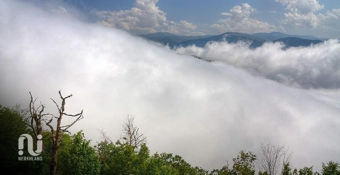 جنگل ابر؛ معجزه استان بیابانی ایران