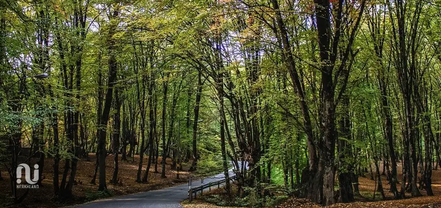 جاهای دیدنی گلستان؛ کشف زیبایی های گلستان