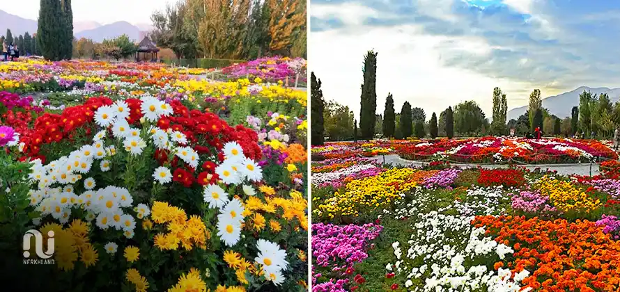 باغ گیاه شناسی تهران؛ بهشتی از تنوع گیاهی و زیبایی های طبیعی